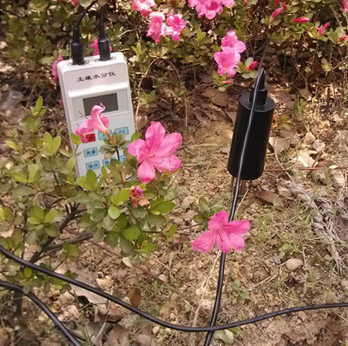 土壤水分仪LTS-50G型